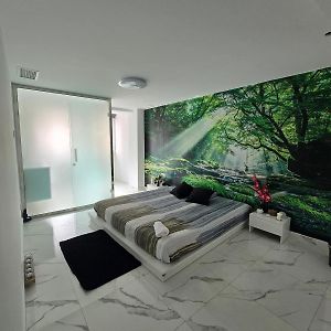 Habitación con Cama King Adaptada para Discapacitados